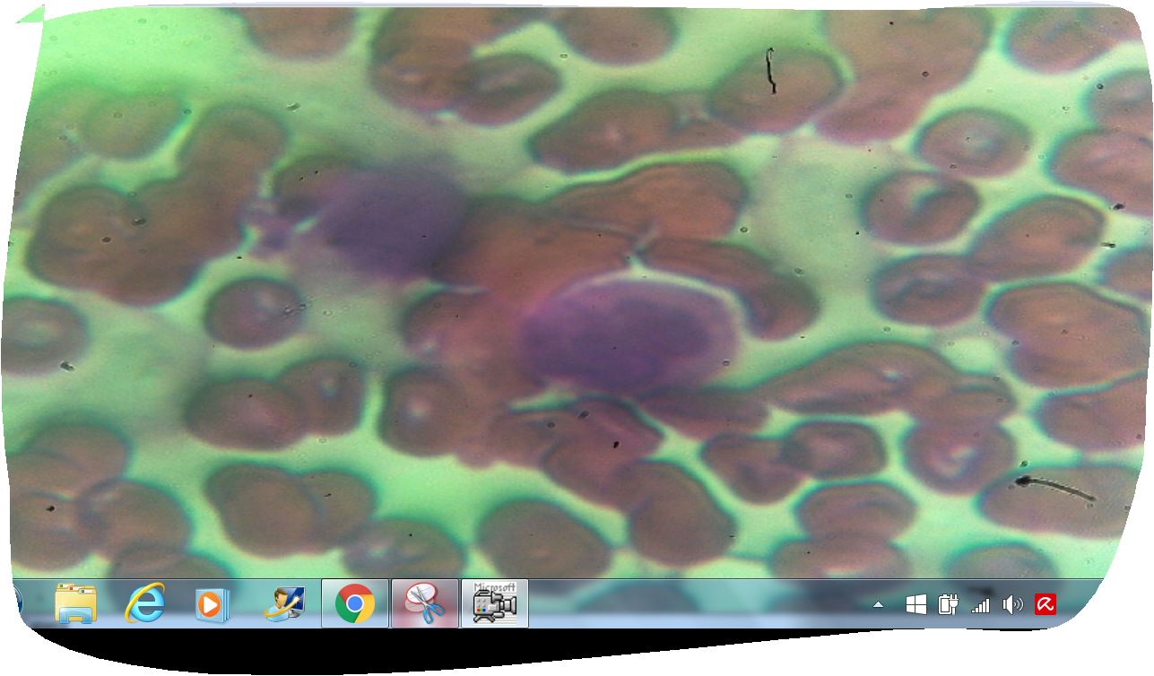 wow comincio a imparare :invio pi� immagini:)ciaoooo